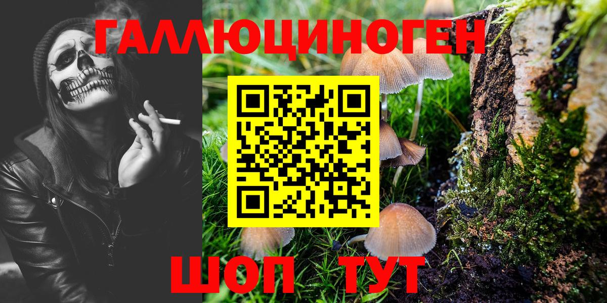 Клинцы  Псилоцибиновые грибы GOLDEN TEACHER  Галлюциногенные грибы Psilocybe  Вход с VPN 